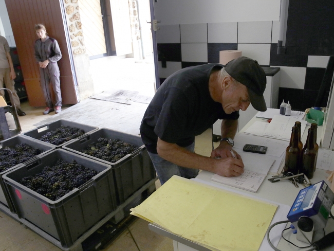 Champagne DELHOMME -  Champagne DELHOMME -