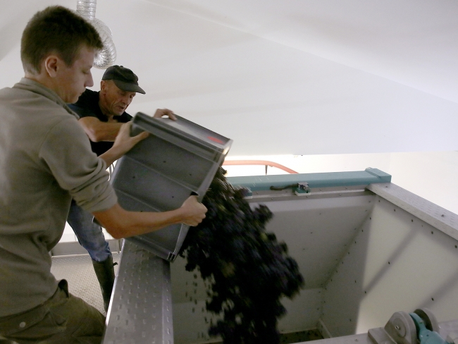 Champagne DELHOMME -  Champagne DELHOMME -